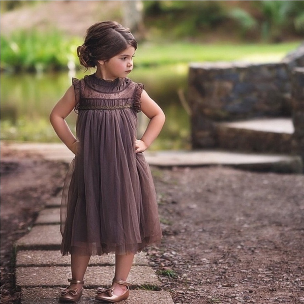 Elegant Brown Tulle Dress